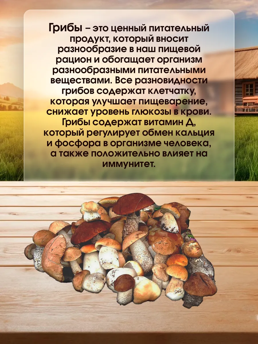 Грибы лисички и подосиновики сушеные 100 гр (набор)