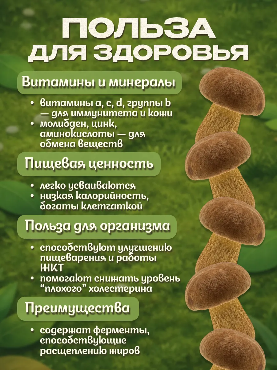 Грибы моховики сушеные 100гр